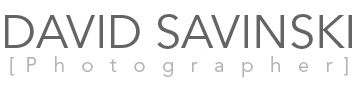 blog.DavidSavinski.com logo